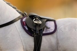 Mini Toy Pony Pad - Lilla - LeMieux